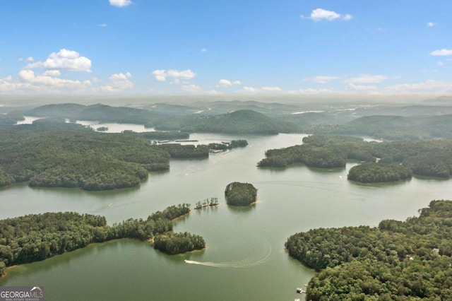 451 Wilderness Camp Rd, White, GA 30184 - bird's eye view of a heavily wooded area and a large body of water