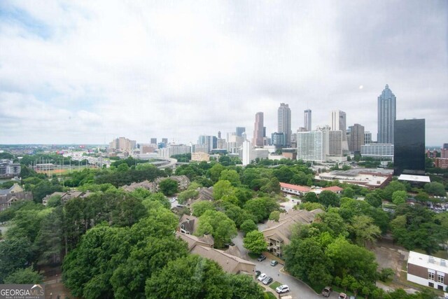 375 Ralph Mcgill Blvd NE Unit 1701, Atlanta, GA 30312 - skyline view