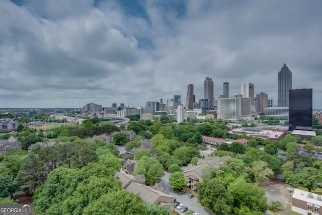 375 Ralph Mcgill Blvd NE Unit 1701, Atlanta, GA 30312 - skyline view