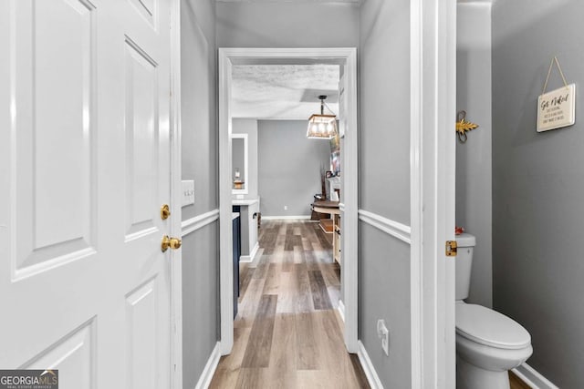 3229 Dunlin Lake Rd, Lawrenceville, GA 30044 - corridor featuring light wood-type flooring and baseboards