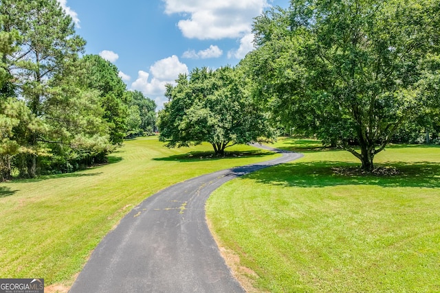 6180 Old Jefferson Rd, Athens, GA 30607 - view of community with a yard and view of scattered trees