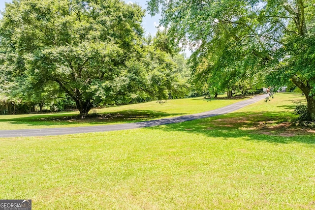 6180 Old Jefferson Rd, Athens, GA 30607 - view of property's community with a yard and view of wooded area