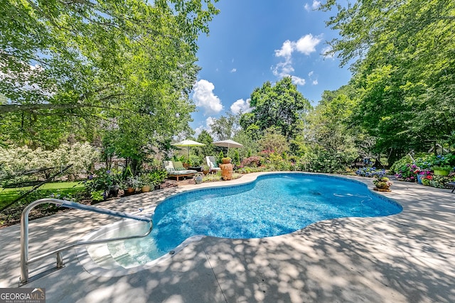6180 Old Jefferson Rd, Athens, GA 30607 - swimming pool featuring a patio area and view of wooded area