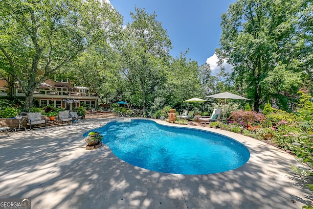 6180 Old Jefferson Rd, Athens, GA 30607 - swimming pool featuring a patio area and view of scattered trees