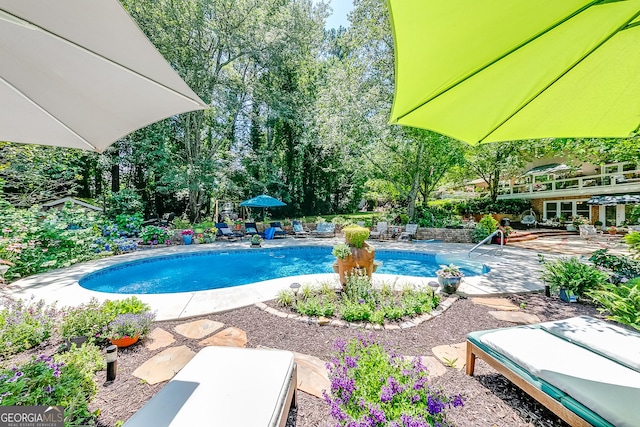 6180 Old Jefferson Rd, Athens, GA 30607 - swimming pool with a patio area