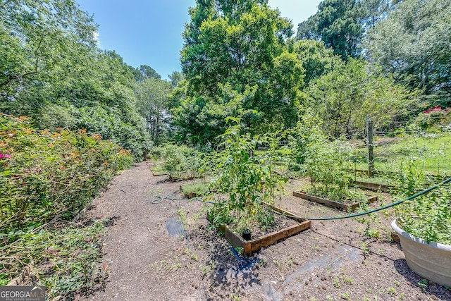 6180 Old Jefferson Rd, Athens, GA 30607 - view of yard with a garden