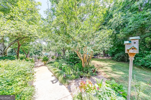 6180 Old Jefferson Rd, Athens, GA 30607 - view of yard
