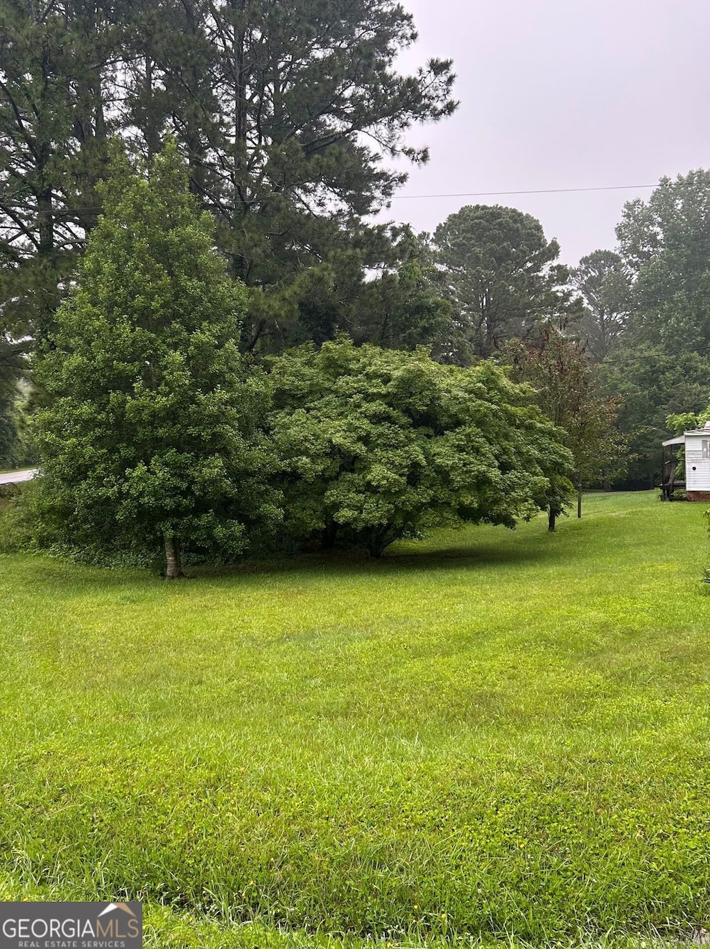 5538 Ransom Free Rd, Clermont, GA 30527 - view of grassy yard