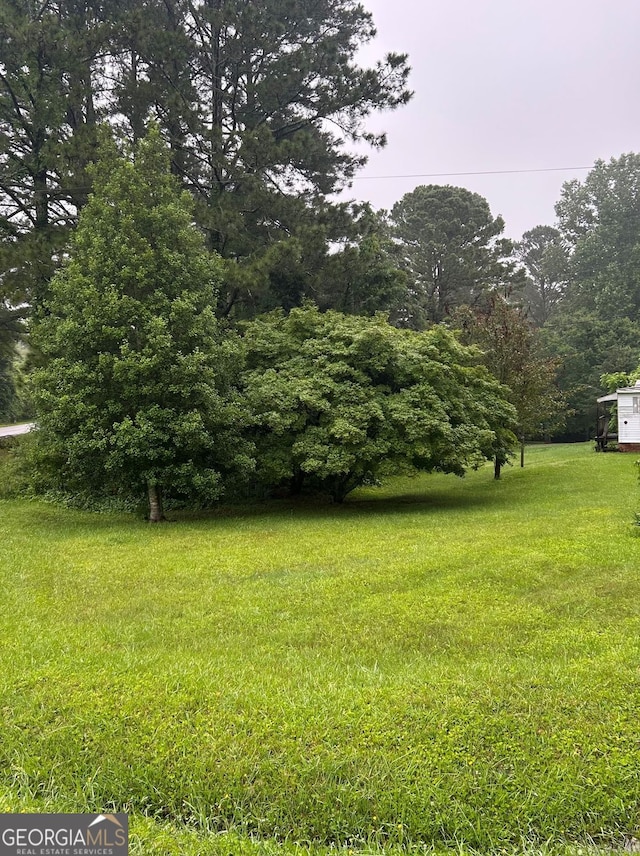 5538 Ransom Free Rd, Clermont, GA 30527 - view of grassy yard