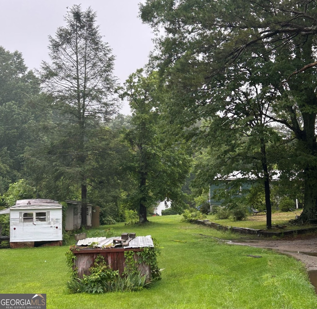5538 Ransom Free Rd, Clermont, GA 30527 - view of green lawn with a storage shed