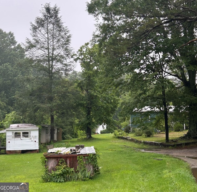 5538 Ransom Free Rd, Clermont, GA 30527 - view of green lawn with a storage shed