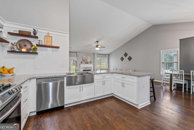 192 Sandhurst Ct, Suwanee, GA 30024 - kitchen featuring appliances with stainless steel finishes, open shelves, vaulted ceiling, ceiling fan, and light stone countertops