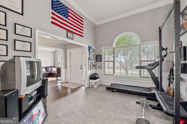 192 Sandhurst Ct, Suwanee, GA 30024 - exercise area with carpet flooring, crown molding, and a wainscoted wall