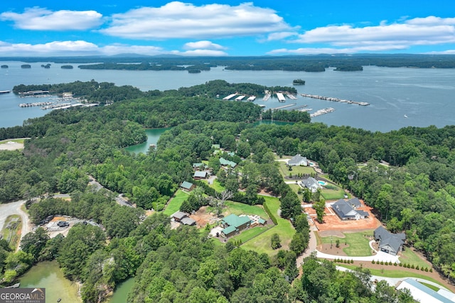 6590 Lights Ferry Rd, Flowery Branch, GA 30542 - view of property location featuring a nearby body of water and a heavily wooded area