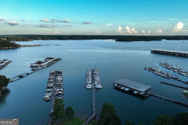 6590 Lights Ferry Rd, Flowery Branch, GA 30542 - water view with a marina