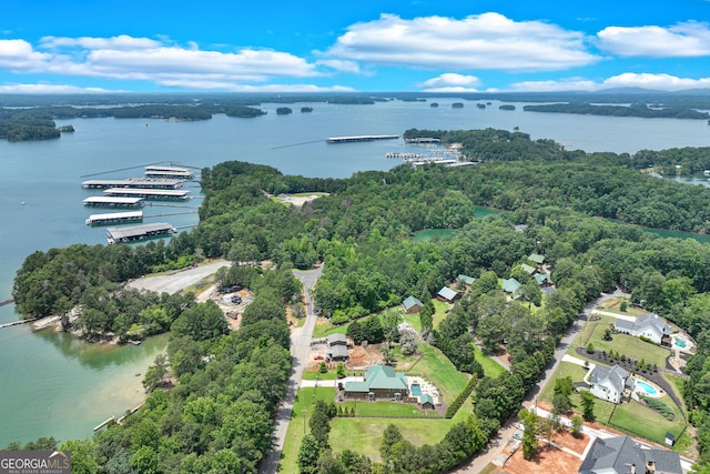 6590 Lights Ferry Rd, Flowery Branch, GA 30542 - drone / aerial view of a large body of water
