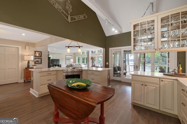 1320 Dogwood Drive 1320Dogwood Drive, Greensboro, GA 30642 - kitchen with a kitchen island, high end stainless steel range oven, high vaulted ceiling, glass insert cabinets, and wood finished floors