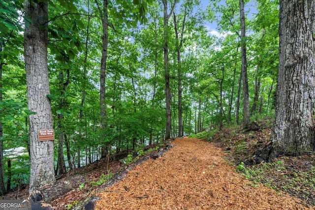 4735 Log Cabin Rd, Gainesville, GA 30504 - view of wooded area