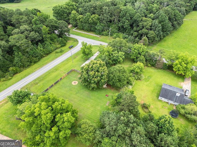 615 Coan Dr, Locust Grove, GA 30248 - drone / aerial view