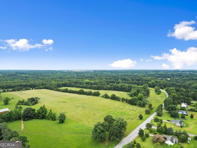 615 Coan Dr, Locust Grove, GA 30248 - view of rural area featuring a forest