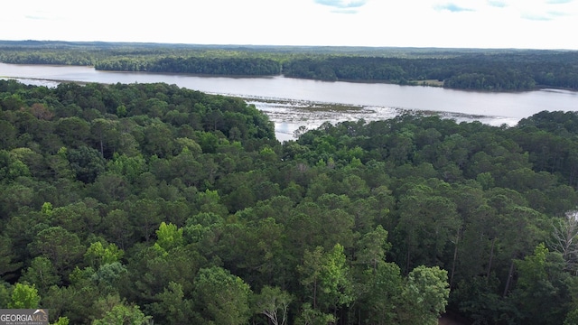 181 S Chattahoochee Dr, Hogansville, GA 30230 - drone / aerial view of a nearby body of water