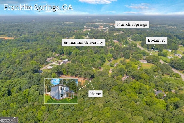 155 Carey St, Franklin Springs, GA 30662 - aerial overview of property's location with a forest and property parcel outlined