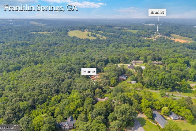 155 Carey St, Franklin Springs, GA 30662 - drone / aerial view of a forest