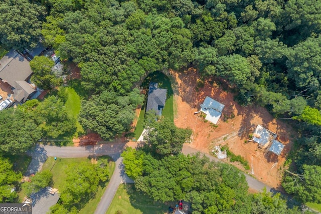 155 Carey St, Franklin Springs, GA 30662 - aerial view of property's location