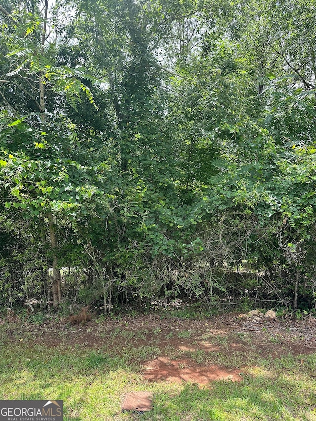 1361 Arborgate St, Madison, GA 30650