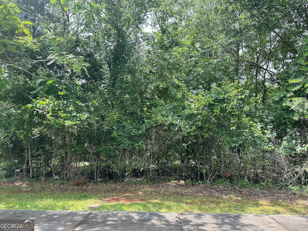1361 Arborgate St, Madison, GA 30650