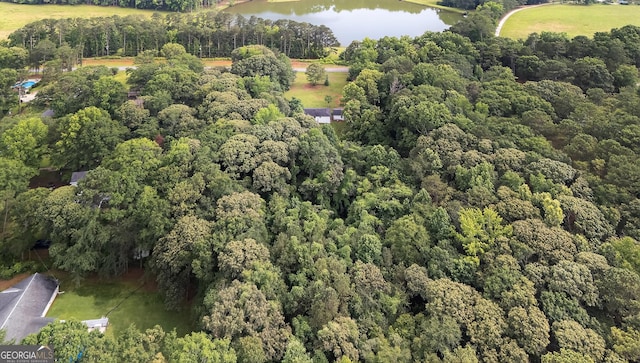 1120 Glass Bridge Rd, Lagrange, GA 30240 - aerial view of property and surrounding area with a nearby body of water and a forest
