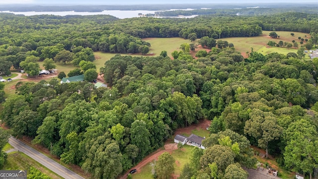 1120 Glass Bridge Rd, Lagrange, GA 30240 - aerial view of property's location featuring a forest and a nearby body of water