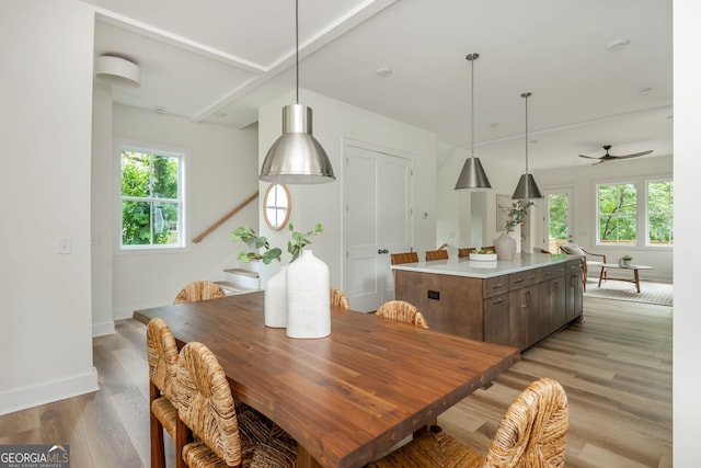 38 Mildred Pl NW, Atlanta, GA 30318 - dining space with light wood-type flooring and a ceiling fan