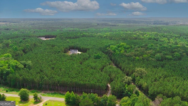 1585 Parks Rd, Forsyth, GA 31029 - aerial view of a forest