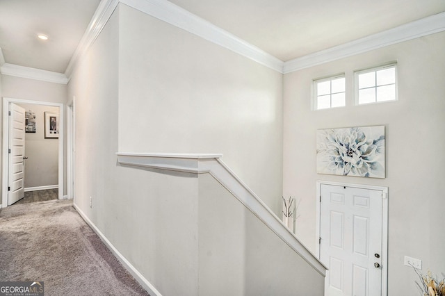 176 Malbone St SW, Cartersville, GA 30120 - entrance foyer with ornamental molding and carpet floors