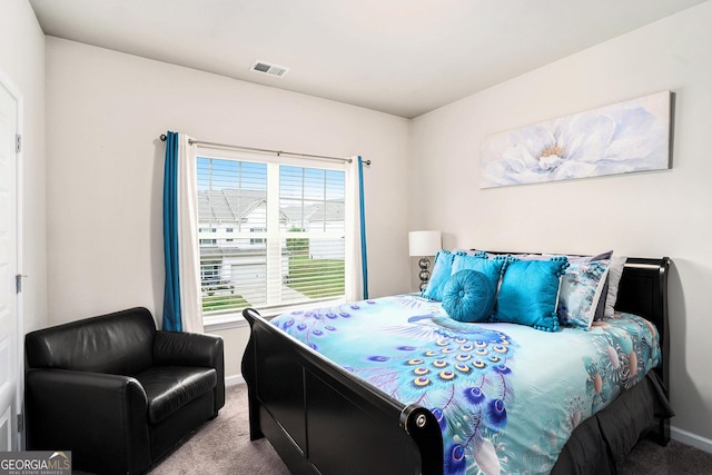 176 Malbone St SW, Cartersville, GA 30120 - bedroom with carpet flooring