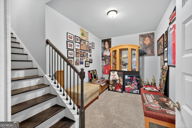2112 Meadowood Cv, Monroe, GA 30655 - stairs with carpet