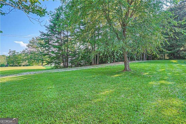 1565 Dr Bramblett Rd, Cumming, GA 30028 - view of green lawn