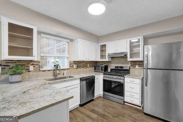1066 Wedgewood Ln, Tucker, GA 30084 - kitchen featuring appliances with stainless steel finishes, under cabinet range hood, white cabinets, decorative backsplash, and light wood-type flooring