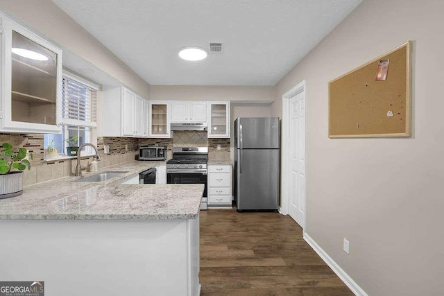 1066 Wedgewood Ln, Tucker, GA 30084 - kitchen featuring appliances with stainless steel finishes, under cabinet range hood, white cabinetry, decorative backsplash, and dark wood-style floors