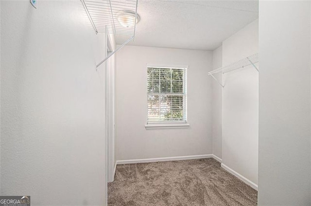 3440 Oaktree, Stonecrest, GA 30038 - spacious closet with carpet floors