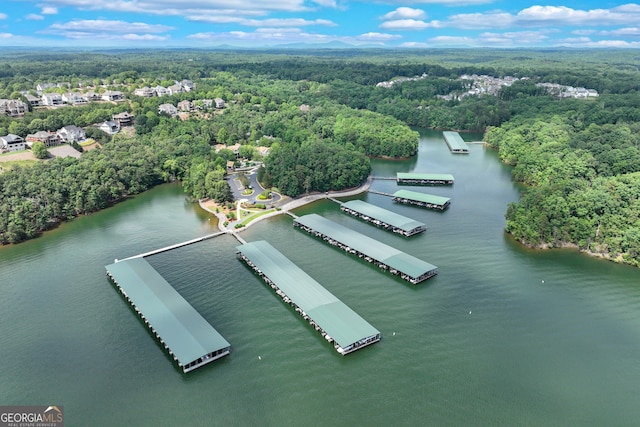 6226 Random Winds Blf, Gainesville, GA 30506 - bird's eye view of a large body of water