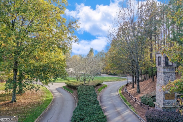 6226 Random Winds Blf, Gainesville, GA 30506 - view of property's community