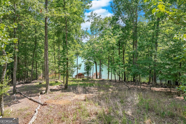 6226 Random Winds Blf, Gainesville, GA 30506 - view of nature