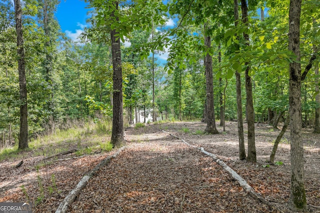 6226 Random Winds Blf, Gainesville, GA 30506 - view of yard