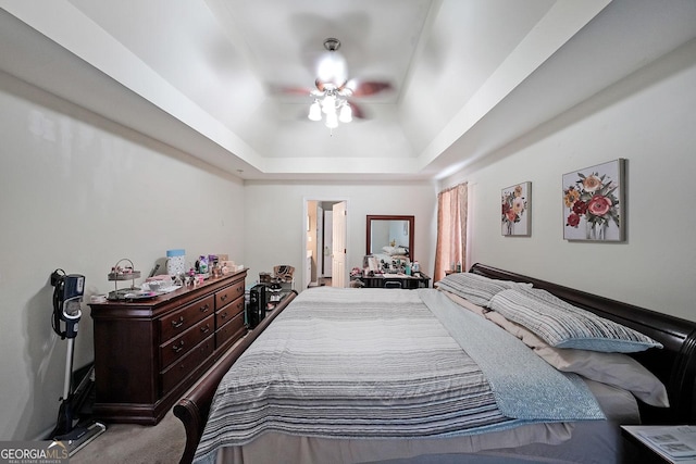 443 Brooks Rd, Dallas, GA 30132 - bedroom with carpet flooring, a tray ceiling, a ceiling fan, and ensuite bathroom