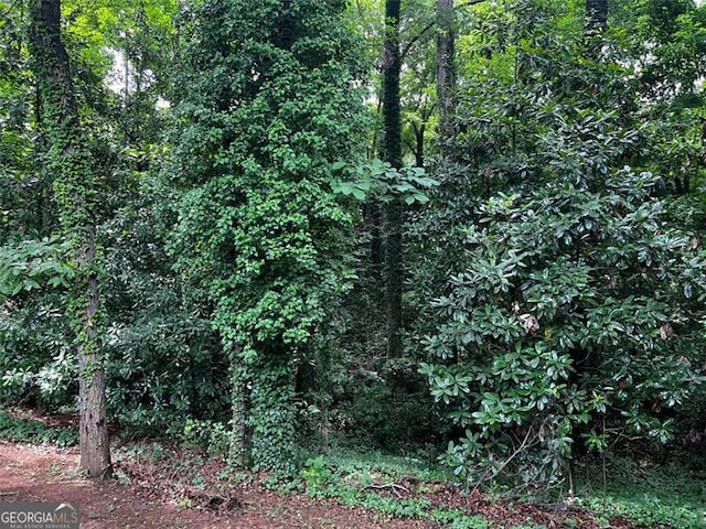 2436 Glenrock Dr, Decatur, GA 30032 - view of tree filled area
