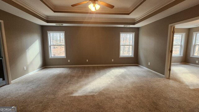 488 Morris Rd, Hiram, GA 30141 - spare room with a tray ceiling, carpet floors, plenty of natural light, and crown molding