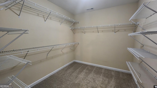 488 Morris Rd, Hiram, GA 30141 - spacious closet with carpet floors