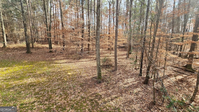 488 Morris Rd, Hiram, GA 30141 - view of local wilderness